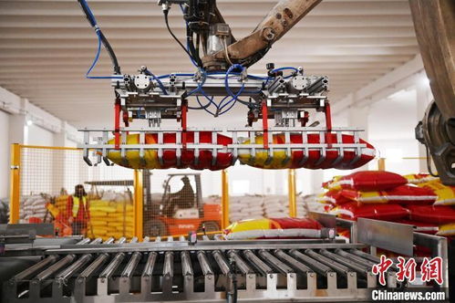 中國鎳都 化工循環產業鏈上下游的變廢為寶與共生發展